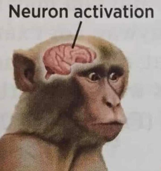 neuron-activation