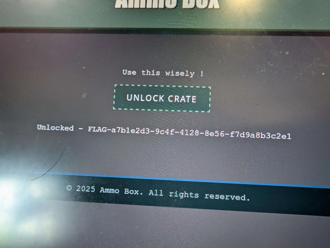 packing-heat-ammo-flag