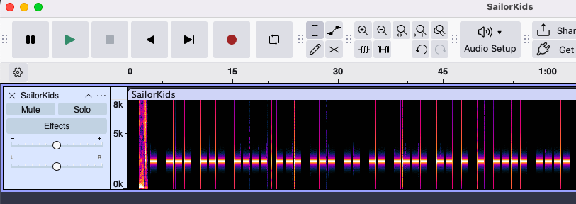 Audacity in Spectrogram view