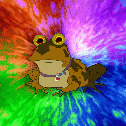 Hypno Frog, the only logical thing